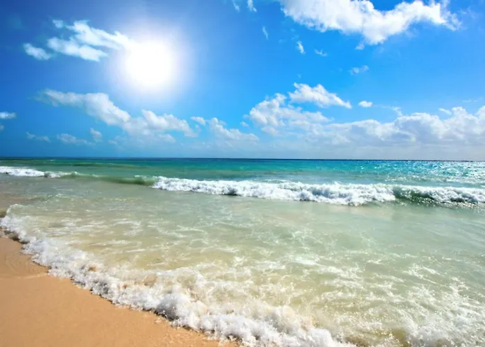 Afrodita I 108 Sunny アパート *